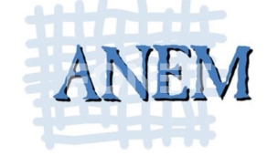 Solidarnost s Jelenom Kleut